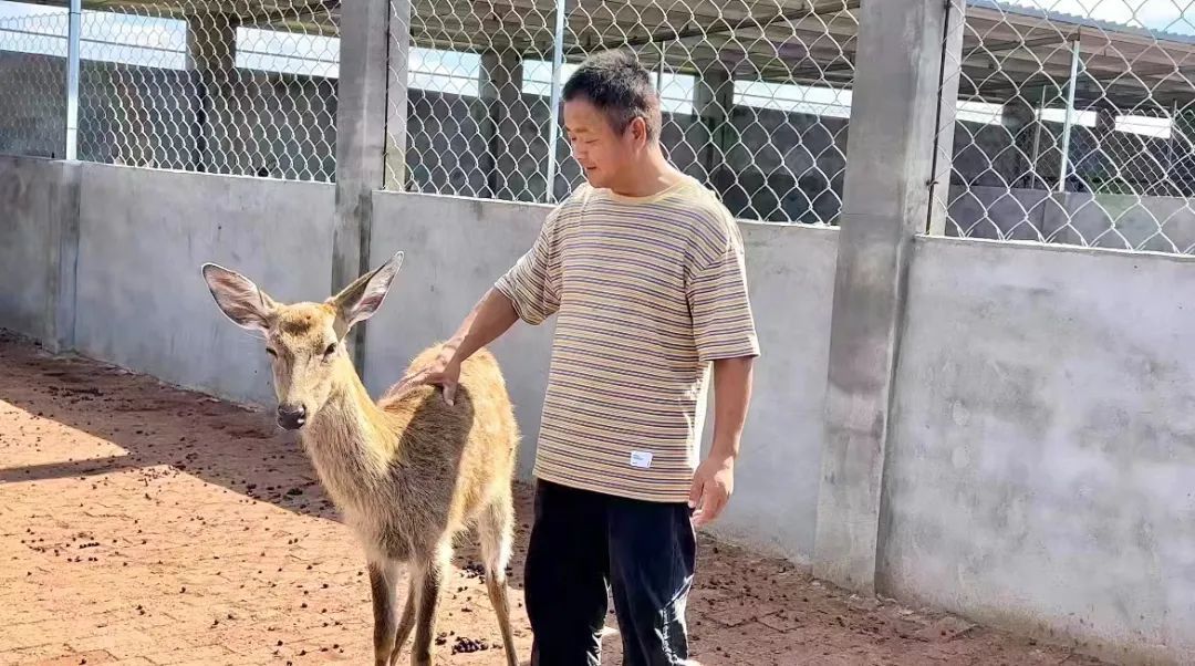 手机版捕鱼游戏大厅